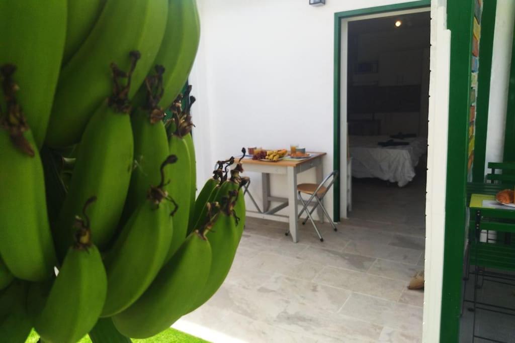 Tartanas 110-1-2 Holiday home *